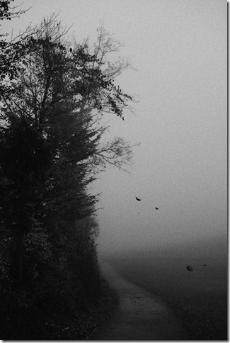 Nebel-Herbst SW